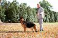 GCH Ch Trademark's Fantasy of Magens Bay