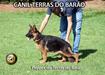 Pepper do Terras do Barão