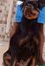 GLORIA OF PASAC'S EMPIRE ROTTWEILERS