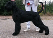 AUSTIN TI DE CETHUZ