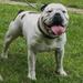 Regals Jasper @ Triple A's (VB)
