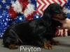 WTL Deco Cash for Peyton ML