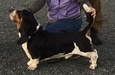 Crossroads Riley Sure Shot Derringer