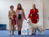 JEuWin, JBest in Speciality Show x2, JCH CRO,POL,CZE Clockwork Shepherd Fargo