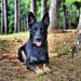 Princess Rhaenys Von Haus Thornhill