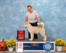 Southernstar's Adjust Ur Attitude