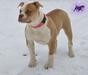 East Side Reign Fury