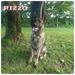Rizzo Louise Von McGuire