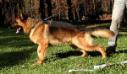 Fanto von Marbach