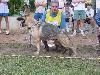 Zezé do Vale das Arábias