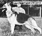  Leuchtag's Happy of Ingomar
