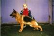 Nembi von Norden