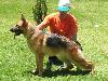 Nora do Grota Verde