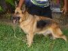 Hebe do Grota Verde