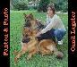 Fanton do Lagster