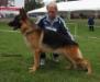 VA7 (NASS) Saro aus Agrigento