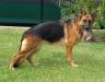 Xena von Noble-Land