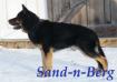  Baron Vom Sand-N-Berg