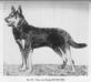 Prinz von Massing