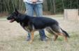 Axle vom Yukonhausbrg