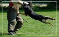 Darling vom Sportpark