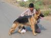 Kittu's TO M JO NES