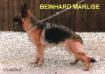 Beinhard Marlise