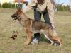SG Jagga Ja-He