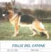  Follie del Catone