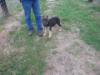 Alric from Walking Arrow