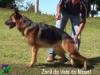 Zenil do Vale do Mosel