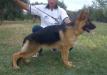 Hindia del Rione Antico