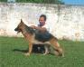 Astra do Vale das Gameleiras