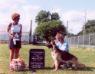 Lindenhill's Surrender Dorothy