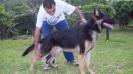 Amon do Taba Ruiz