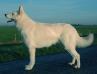 Longfield Mundo de Lothian