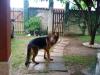 Bonno Do Enseada dos Corrêas