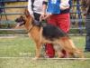 Bea Von Haus Brintrup