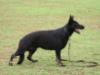 Acqua do Ciribai