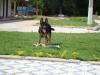 Bandit do Taba Ruiz