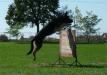  Blady Hell Dog