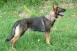 G-Maddison Lena Von Der Earnhardt