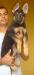 Donna do Caio work dogs