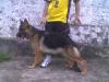 Raika do Brilho do Alcatraz