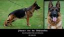 Princess von der Wiehenallee