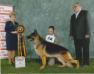 CH (US) Karizma's Fab4-George Vonloar Kaleef