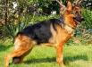 Hilde Nuada Rits