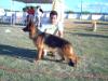 Gessy do Cauaçu