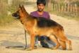 vinmin's orbus of playmate