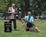 SEL EX GCH (US) Clayfield Bon Jovi
